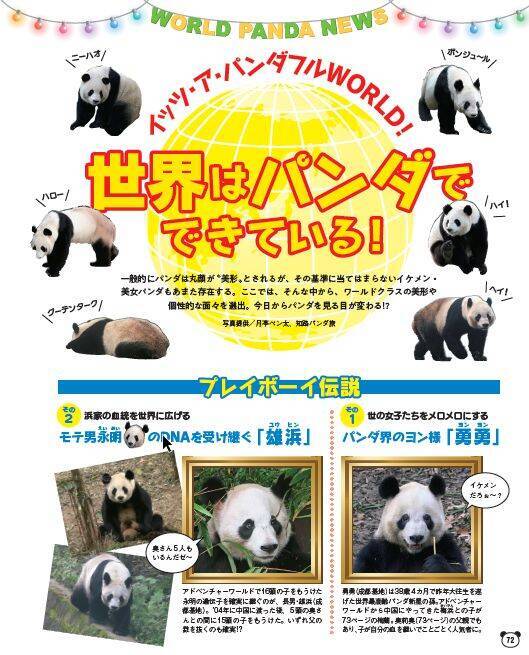 大ヒット第2弾 パンダ自身 2頭め には 呪術廻戦 のパンダも 21年5月26日 エキサイトニュース