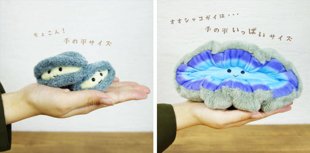 貝好きなあなたへ サザエやアサリ 貝がふわふわ可愛いぬいぐるみに 21年8月14日 エキサイトニュース 貝好きなあなたへ サザエやアサリ 貝がふわふわ可愛いぬいぐるみに 21年8月14日 エキサイトニュース