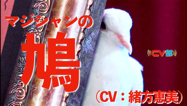 Cv部 緒方恵美がマジシャンの ハト のアテレコに初挑戦 21年12月8日 エキサイトニュース