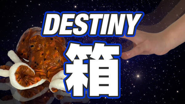 Cv部 中村悠一vs杉田智和 箱の中身はなんだろな 22年1月日 エキサイトニュース