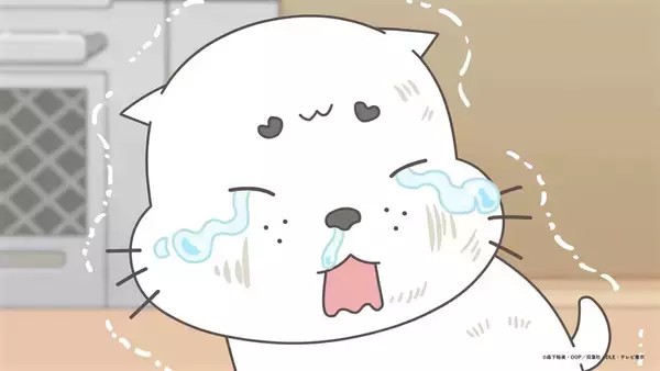 「『⼩3アシベ QQゴマちゃん』第14話 先行カット＆あらすじ公開！」の画像