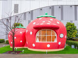 「【いちごのお家】サンリオファン懐かしの空間が3月6日よりお台場に期間限定オープン！」の画像1