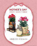 「【母の日】「となりのトトロ」と「魔女の宅急便」の配送ギフトセット予約開始」の画像1