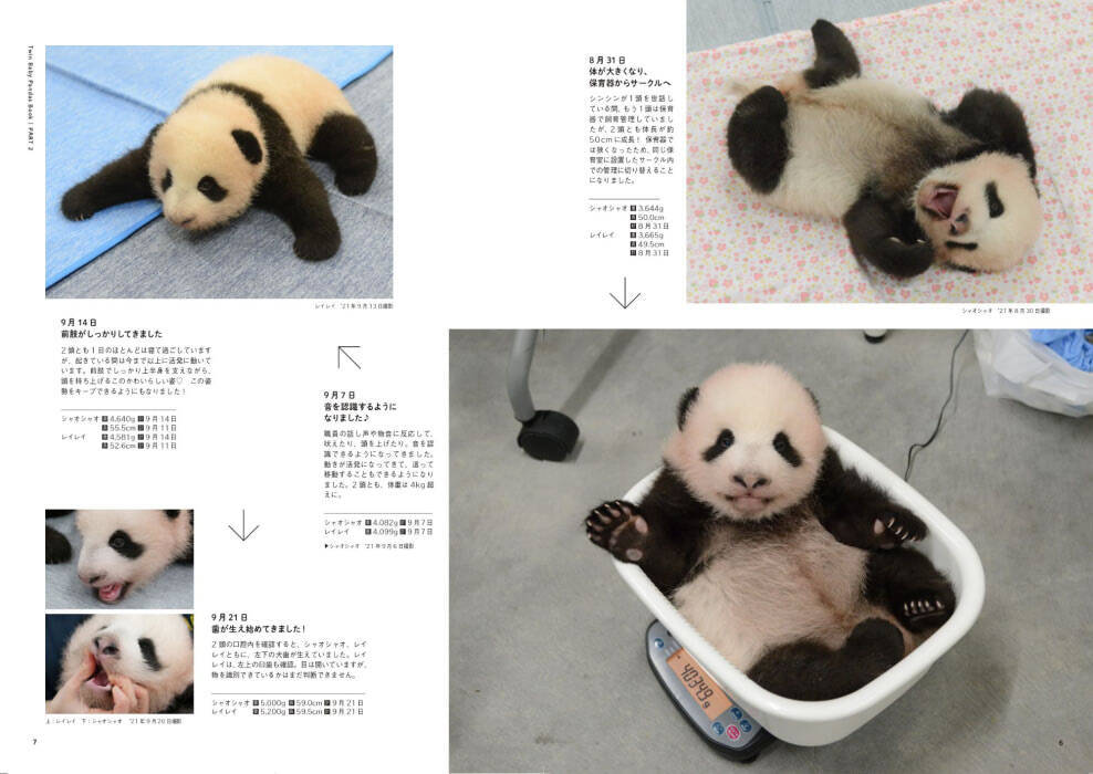 写真で見る成長記録 ふたごの赤ちゃんパンダbook 1 24発売 22年1月11日 エキサイトニュース