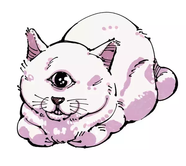 「「呪術廻戦≡（モジュロ）」第1巻、1月5日発売！ 「ジャンプ」「最強ジャンプ」「呪術リミックス版」も要チェックな付録も」の画像