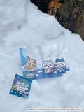 「ちいかわ＆ハチワレ＆うさぎの雪像が初登場！ノベルティも可愛い～♪ 「ちいぽけ」の「さっぽろ雪まつり」出展レポ」の画像4
