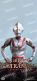 「庵野秀明、樋口真嗣らが語る― ウルトラマンシリーズ60周年記念ドキュメンタリー「THE ORIGIN OF ULTRAMAN」予告公開」の画像5