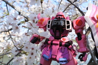 「ガンダム」ミーアザク×桜はエモい！ 北海道在住女子モデラーが見た関東の春、ガンプラの春【ガンダム×季節シリーズ】