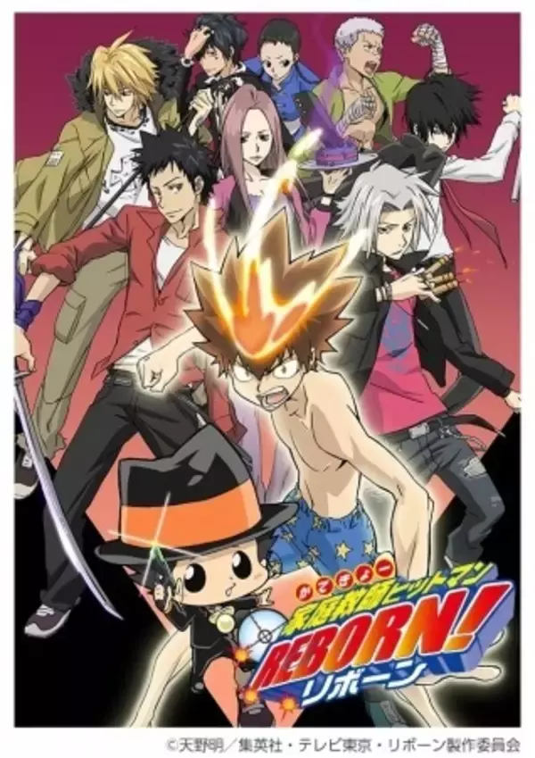 リメイクしてほしいアニメは？「家庭教師ヒットマンREBORN!」、「めぞん一刻」など投票があった全100タイトル以上を一挙公開