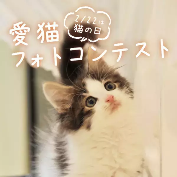 「猫まみれ♪「mofusand」＆「NEKO LAB」デザインのスイーツやアイテムも！そごう・西武で“猫の日”企画開催」の画像