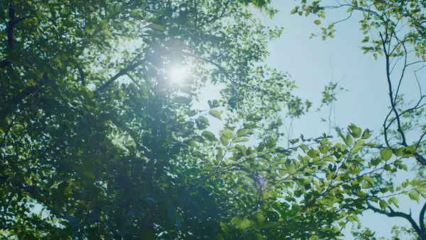 「声優・宮野真守が“トップを走り続けている理由”とは？ 北川景子と3年ぶり共演！変幻自在な声色にも注目のTVCMが放映開始」の画像