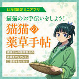 「「薬屋のひとりごと」猫猫と壬氏がシロツメクサで花冠作り♪ ささやかなひと時がメロい…！「猫猫、壬氏と巡る四季」最終6月ビジュアル公開」の画像2