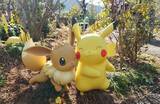 「「ポケパーク カントー」でポケモンたちに大興奮！リアルすぎる森エリア「ポケモンフォレスト」を現地レポート」の画像1