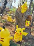 「「ポケパーク カントー」でポケモンたちに大興奮！リアルすぎる森エリア「ポケモンフォレスト」を現地レポート」の画像3