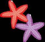 「「歩いてるだけで面白い」「なんで常時メガシンカしてるのｗ」メガスターミー登場のアニメ「ポケットモンスター」予告にツッコミ続出」の画像2