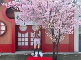 「「NARUTO」富士急ハイランド“富士 木ノ葉隠れの里”に春到来！春野サクラ誕生日イベントが開催」の画像1