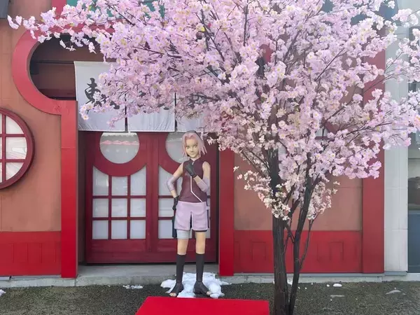 「「NARUTO」富士急ハイランド“富士 木ノ葉隠れの里”に春到来！春野サクラ誕生日イベントが開催」の画像