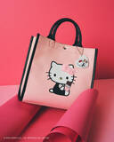 「ハローキティと甘～いバレンタインを♪ チョコやハートがいっぱいの「ロペピクニック」コラボアイテム登場」の画像5