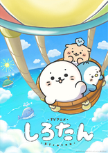 秋アニメ「しろたん」10月3日より放送開始！ メインビジュアル公開＆ファン参加型メッセージボード企画も♪