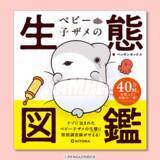 「「おでかけ子ザメ」マイナンバーカードケース登場☆ ベビー子ザメちゃんが初のオンラインくじに！ 描き下ろし絵本＆海の日限定特典も」の画像3