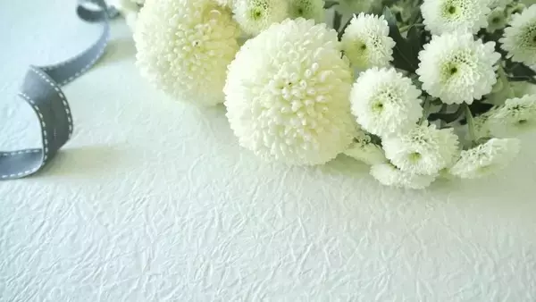 「サザエさん」初代イクラちゃん役の声優・桂玲子が逝去 「一休さん」や「ヤッターマン」にも出演