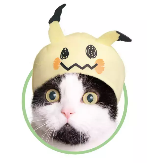 「「ポケモン」猫にかぶせる“激かわ”アイテム登場！ピカチュウほかアローラ地方ポケモン集合」の画像