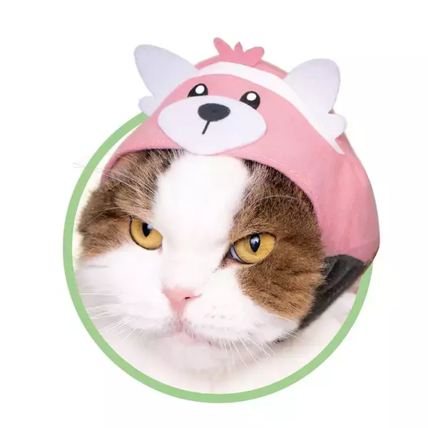 「「ポケモン」猫にかぶせる“激かわ”アイテム登場！ピカチュウほかアローラ地方ポケモン集合」の画像