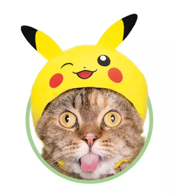 「「ポケモン」猫にかぶせる“激かわ”アイテム登場！ピカチュウほかアローラ地方ポケモン集合」の画像