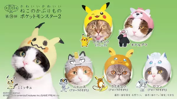 「「ポケモン」猫にかぶせる“激かわ”アイテム登場！ピカチュウほかアローラ地方ポケモン集合」の画像