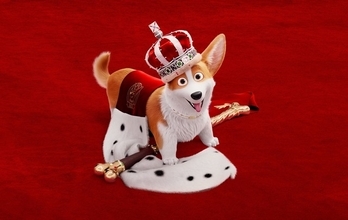 「ロイヤルコーギー」中村悠一＆沢城みゆきら吹き替え初お披露目！ 予告編公開