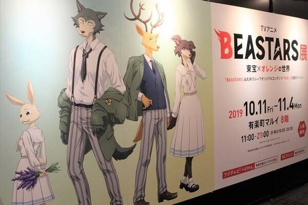 アニメ版の魅力に迫る Beastars 展の見どころは Opのコマ撮りアニメで使われたレゴシ ハル人形も 内覧レポ 19年10月10日 エキサイトニュース