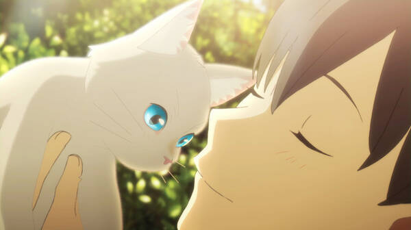 Netflixアニメ映画 泣きたい私は猫をかぶる 山寺宏一 寿美菜子ら演じる個性的なキャラたちの画像が一挙公開 年5月11日 エキサイトニュース