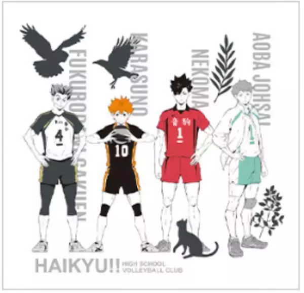 「「ハイキュー!!×GeeRA」コラボスウェットが登場！ 集合柄、烏野高校、音駒高校の全3種」の画像