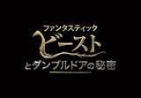 「「ファンタビ」最新作の映像が初公開！ 宮野真守ナレーションの“魔法ワールド特別映像”お披露目」の画像1