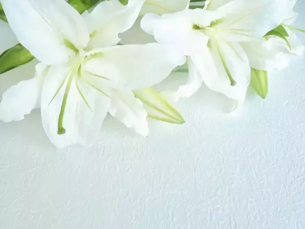 声優・梁田清之さんが逝去、真殿光昭さんがTwitterを通じて報告　「SLAM DUNK」赤木剛憲役や「BLEACH」握菱テッサイ役など