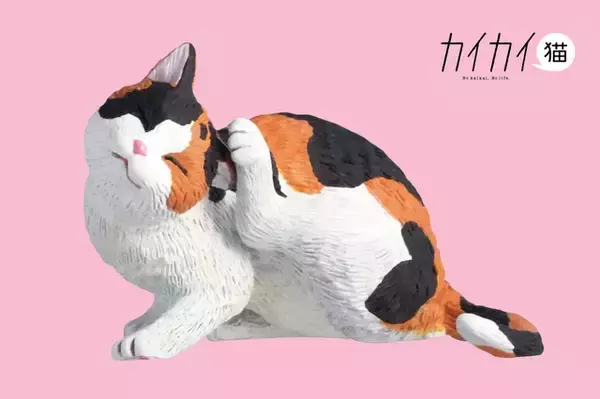 猫の日は猫三昧♪ サバトラや三毛猫、カイカイしてる姿が癒やし～♪ カプセルトイが新登場