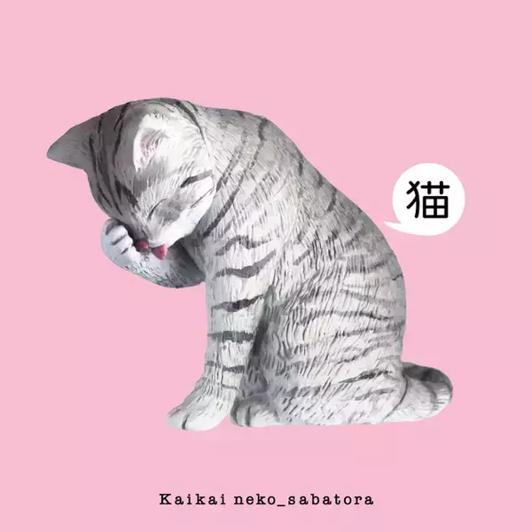 「猫の日は猫三昧♪ サバトラや三毛猫、カイカイしてる姿が癒やし～♪ カプセルトイが新登場」の画像