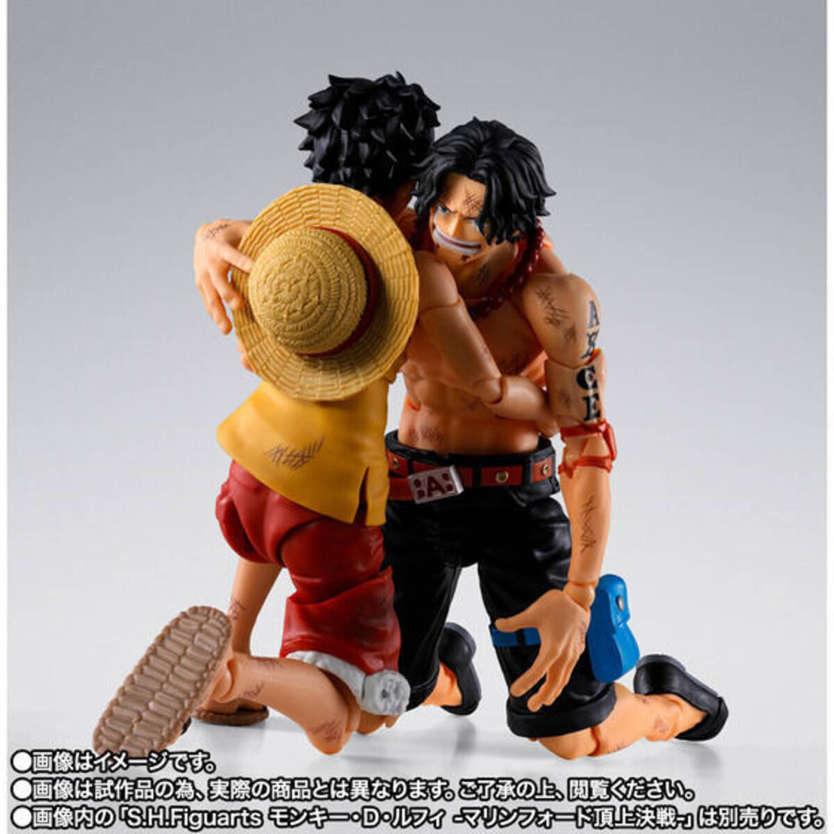 愛してくれて……ありがとう!!!” 「ONE PIECE」エースがマリンフィールド 
