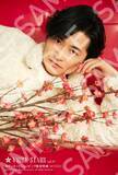 「声優・下野紘、桜との美麗ショットが眼福♪「神の雫」亀梨和也×佐藤拓也が裏表紙に　「TVガイドVOICE STARS」」の画像4