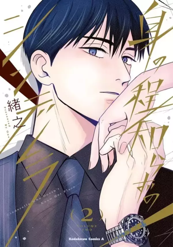 「岡本信彦が年下イケメン、増田俊樹がギャップ系不良男子を演じる！ 「Comic Aily」2タイトルのボイスコミックPVが公開」の画像