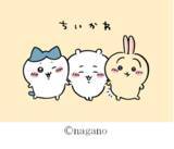 「「ちいかわ」なでなでされるハチワレが可愛すぎ！“ちいかわなると”ももっと可愛く♪チャルメラミニカップめんがリニューアル」の画像3