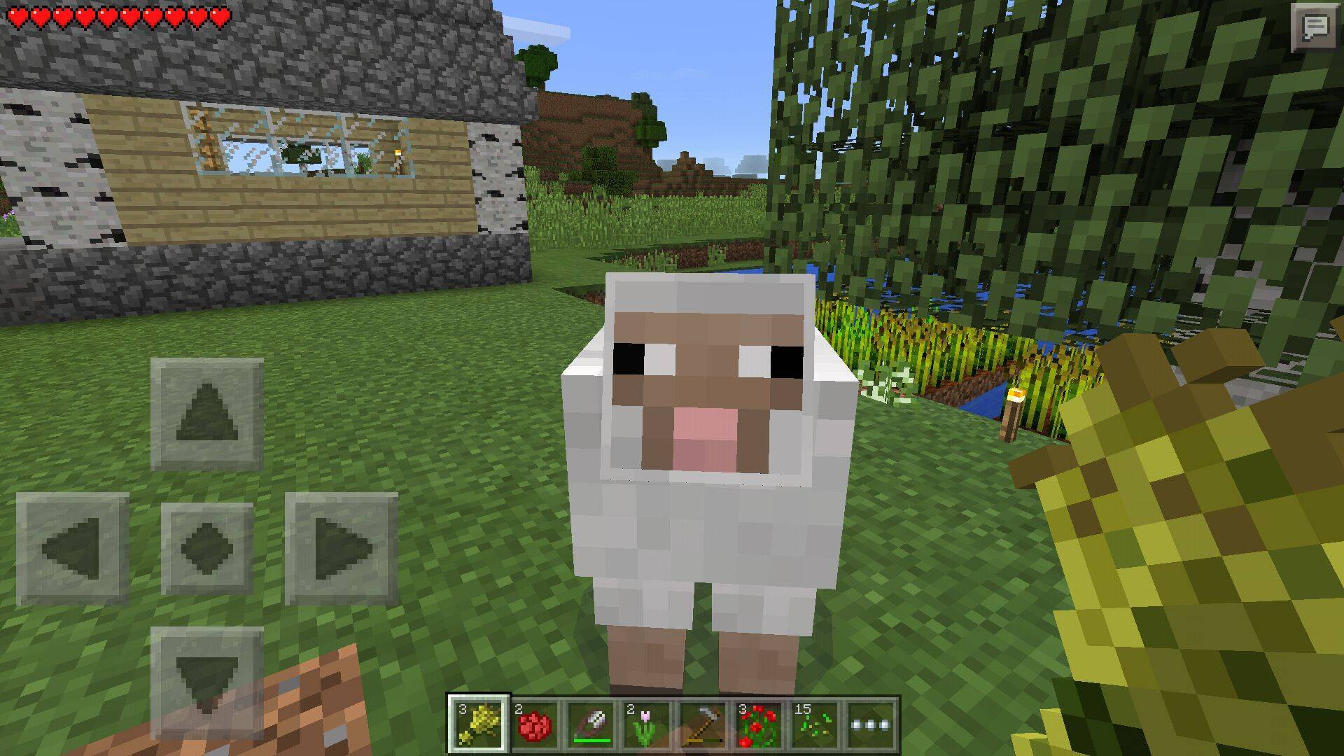 Minecraft Pocket Edition 楽しい牧羊ライフ 羊を連れてこよう 14年12月30日 エキサイトニュース