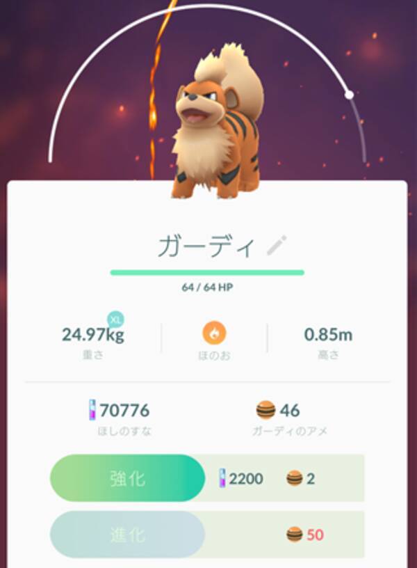 ポケモンgo日記 22 明治神宮へ再び ガーディ進化を目指せ 17年1月日 エキサイトニュース