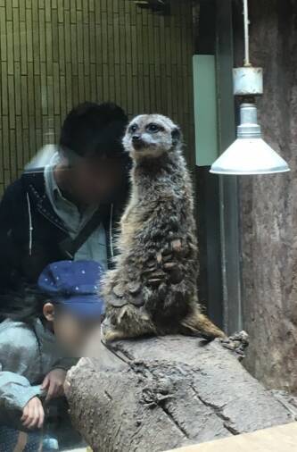 上野動物園アプリが楽しい スタンプラリーにar機能でワクワク1 17年4月14日 エキサイトニュース 4 4