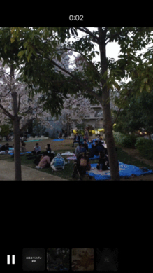 Googleフォトに 母の日ムービー 作成ツールが登場 使い方を解説 17年5月8日 エキサイトニュース