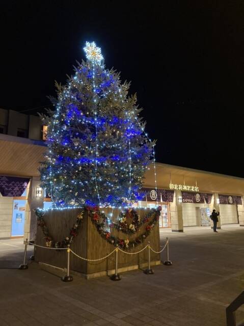 日光 鬼怒川で 光り輝く銀河を走る Sl大樹 の旅を C11形slは12月に2機目が登場予定 年11月25日 エキサイトニュース