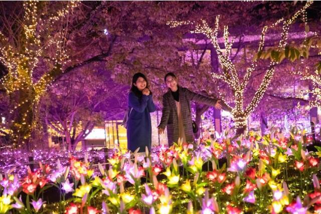 さがみ湖イルミリオンで ポケットモンスターの世界観を再現したイルミネーション イベントが開催中 年11月22日 エキサイトニュース