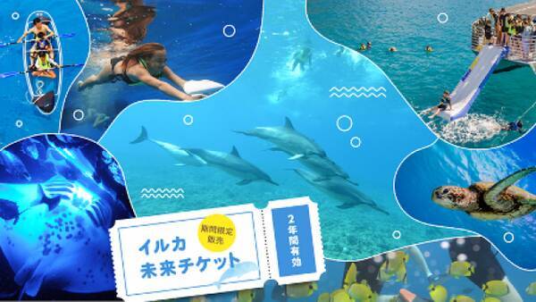 ハワイ未来チケット発売 人気の イルカの学校 が割引価格で 年5月28日 エキサイトニュース