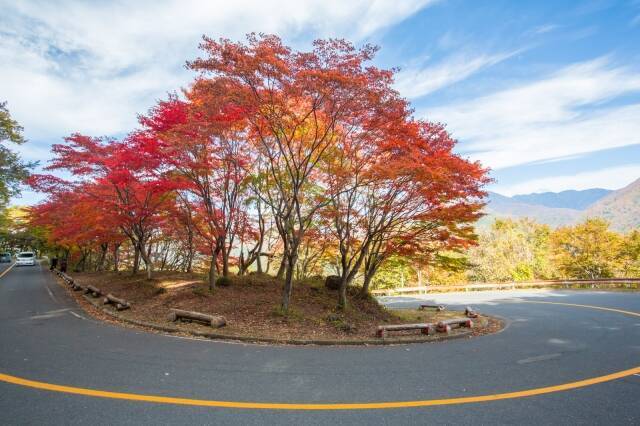 ハンターマウンテン紅葉ゴンドラ 栃木 那須塩原一帯の紅葉が見頃に 那須塩原の秋冬情報 年10月30日 エキサイトニュース 2 2