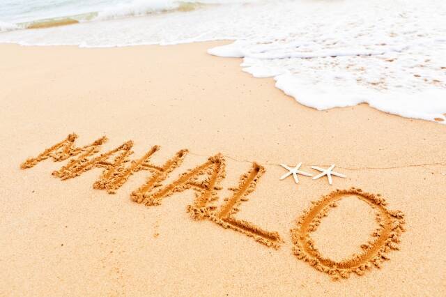 アロハ Aloha に込められた意味 シャカとハングルースの違いって 19年12月17日 エキサイトニュース 4 4